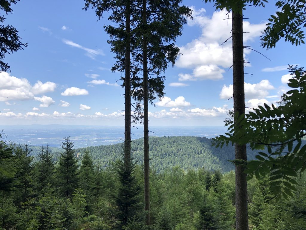Schwarzwald Aussicht Black Forest