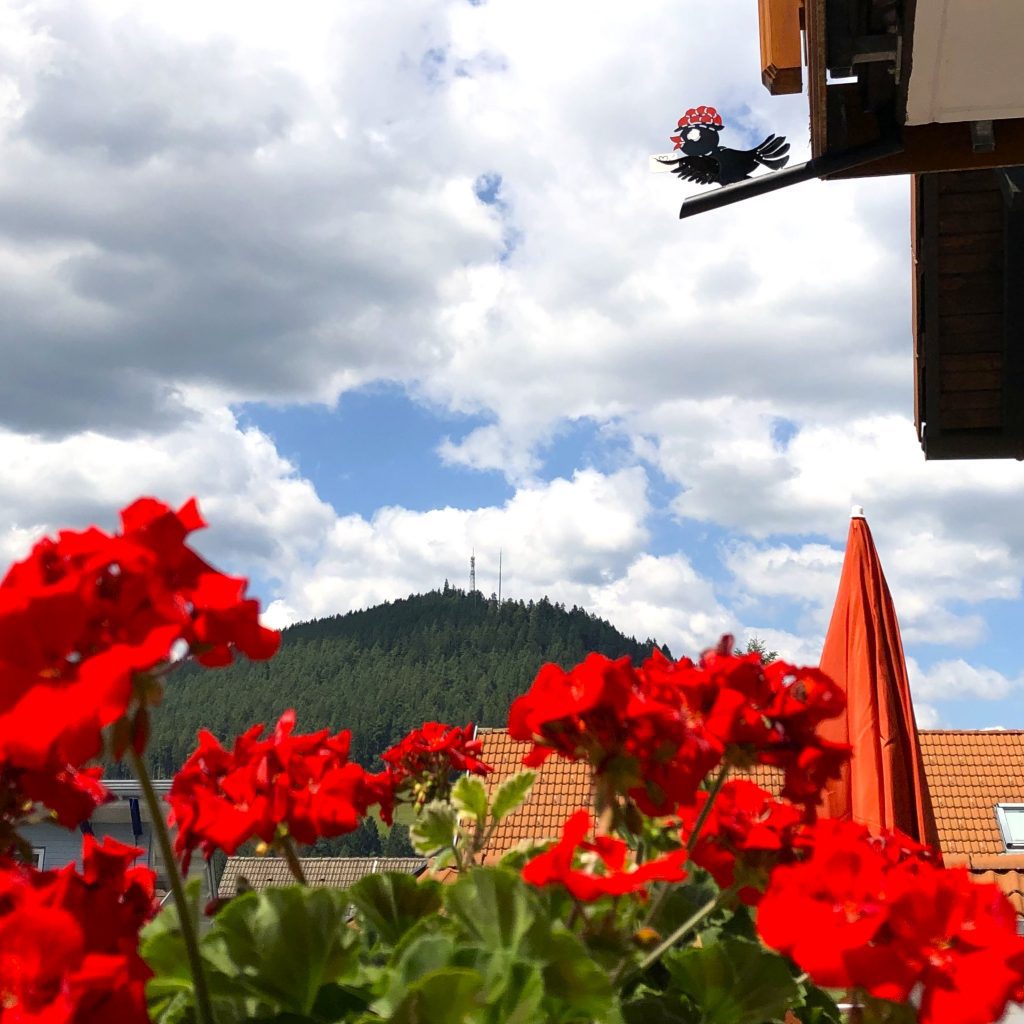 Rinkenturm Baiersbronn Rinkenturm Baiersbronn